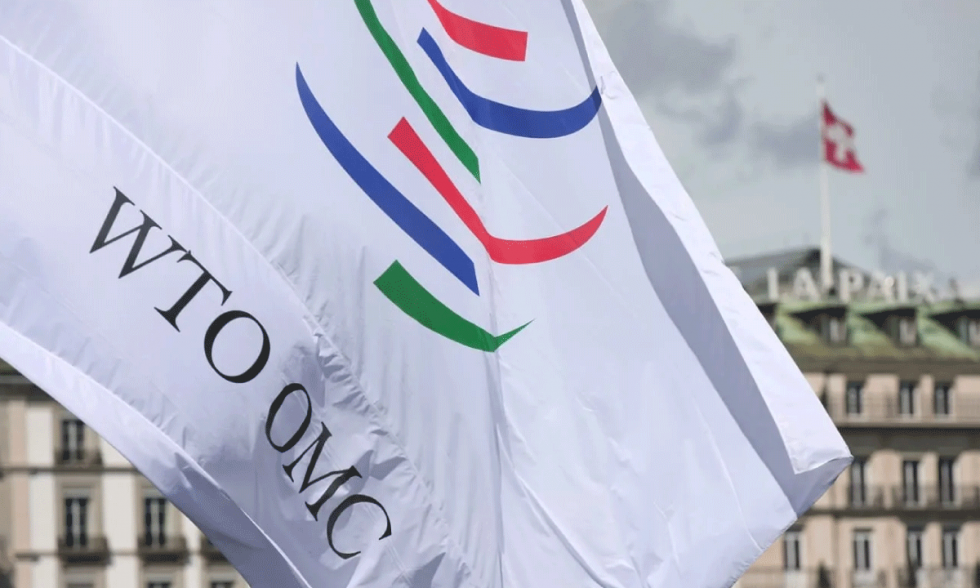 Informe de la OMC revela brechas críticas en el financiamiento del comercio en Guatemala, Honduras y México 1
